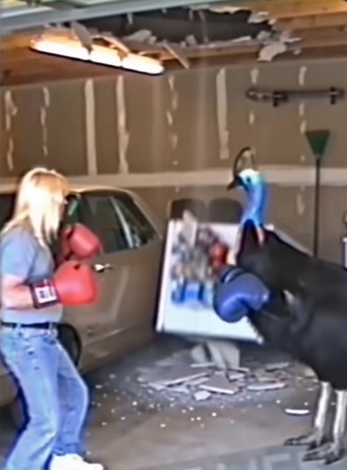 Strange Garage
